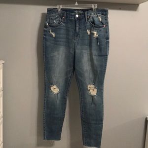 High Rise Wild Fable Skinny Jeans